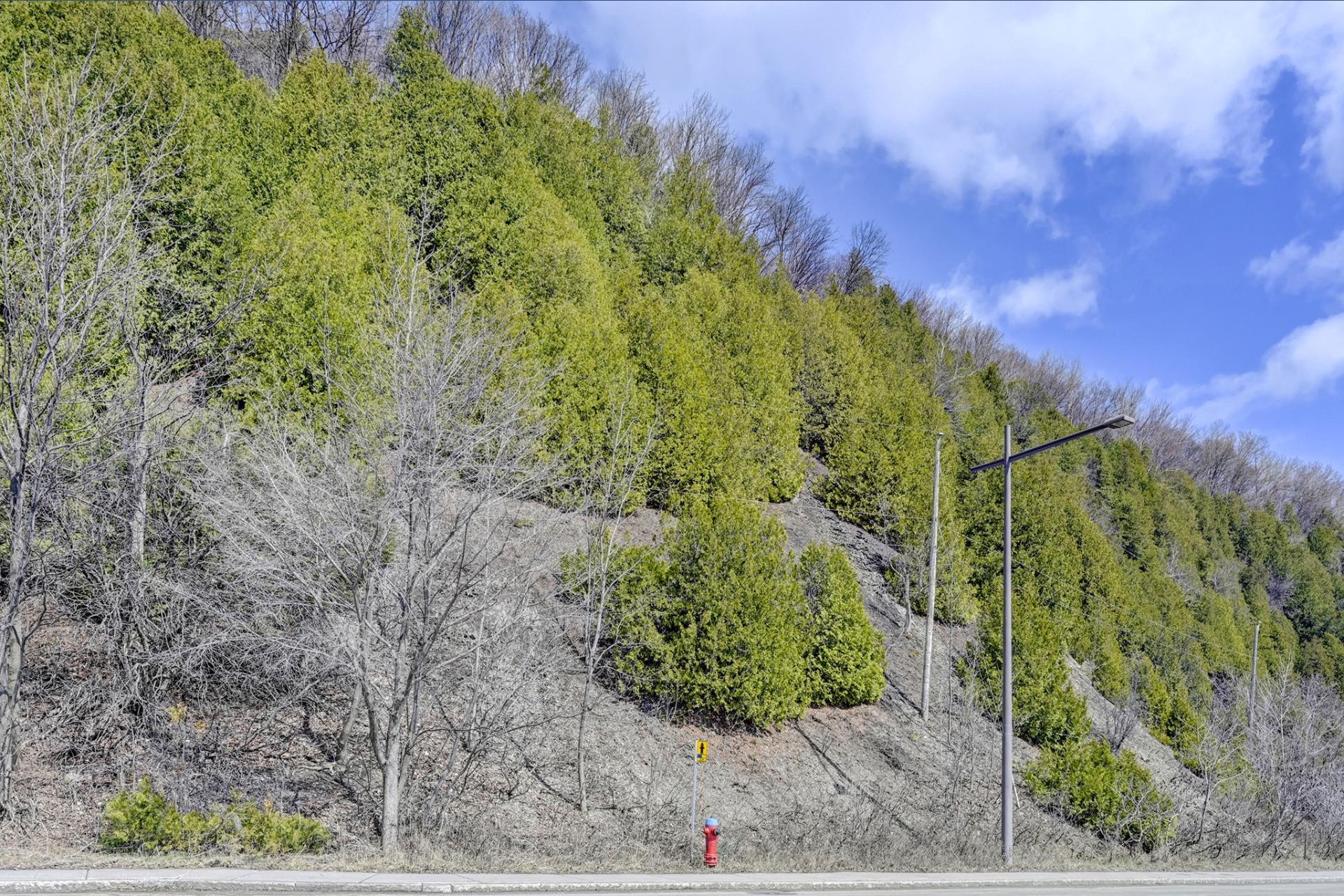 image 1 - Terrain À vendre La Cité-Limoilou Québec 