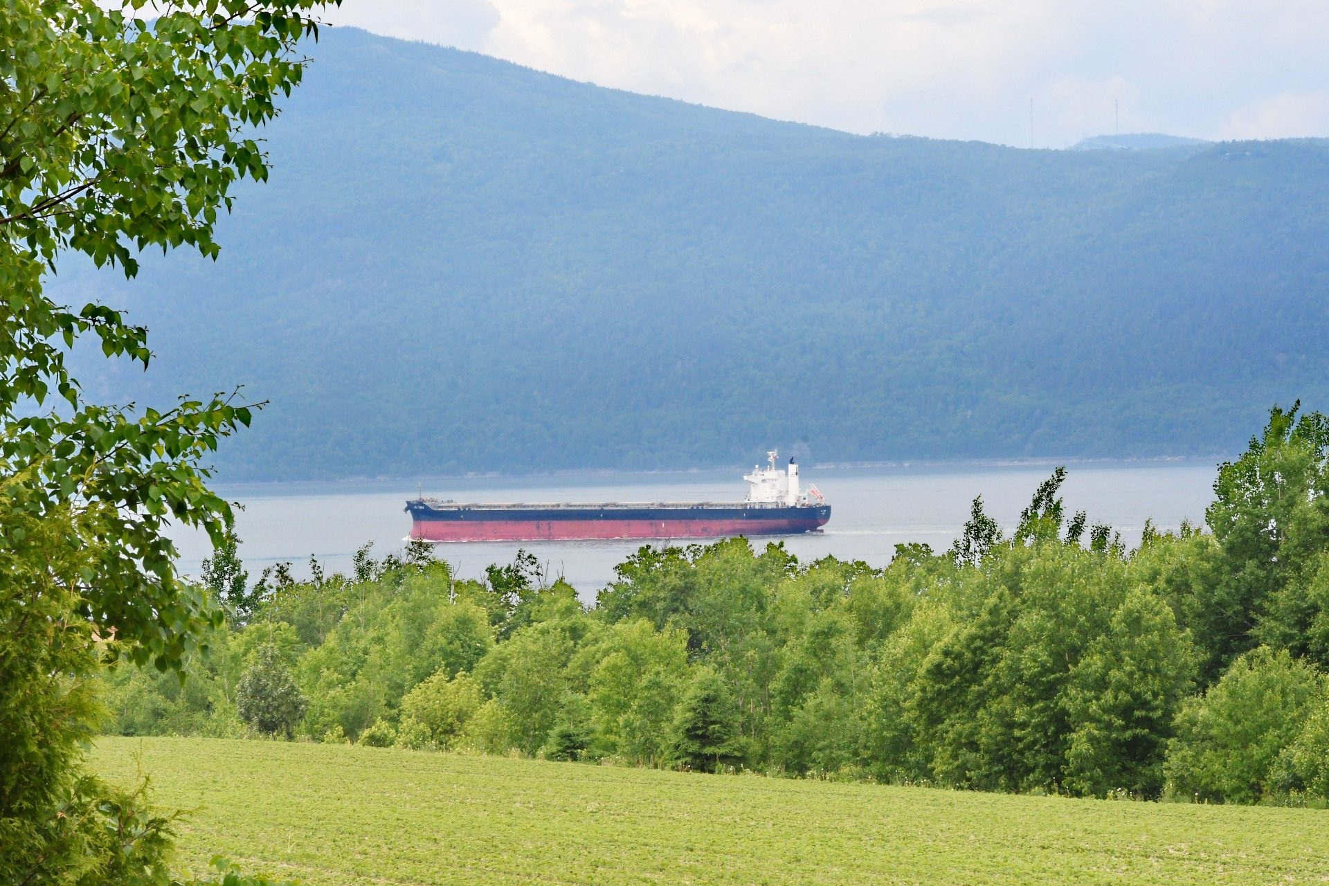 image 26 - Maison À vendre L'Isle-aux-Coudres - 14 pièces