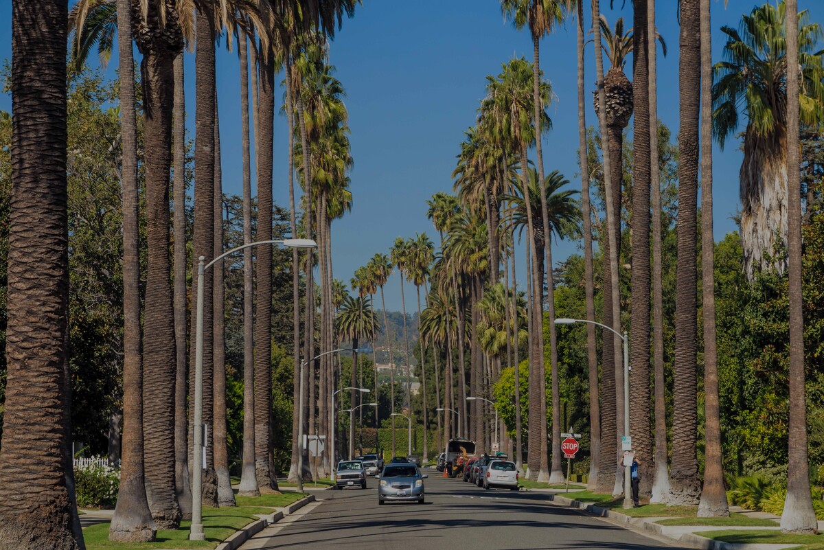 Beverly Hills, the luxury real estate hotspot in Los Angeles -
