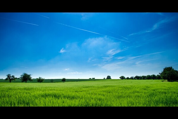 blog-21