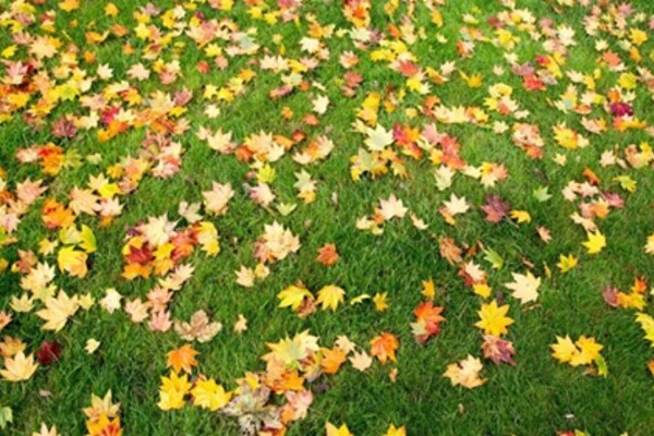 blog-4061