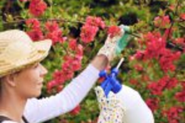 blog-5445