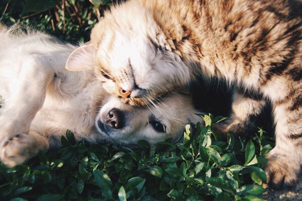 blog-5413